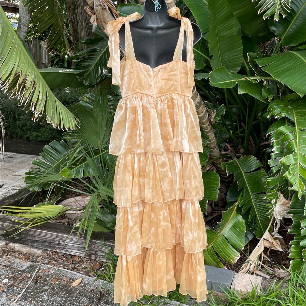 Lulu’s gold ruffled organza Radiant arrival maxi dress - Picture 4 of 7